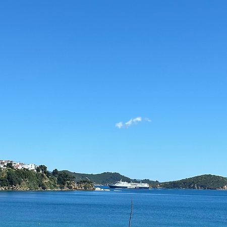 Angeliki Beach Hotel Megáli Ámosz Kültér fotó