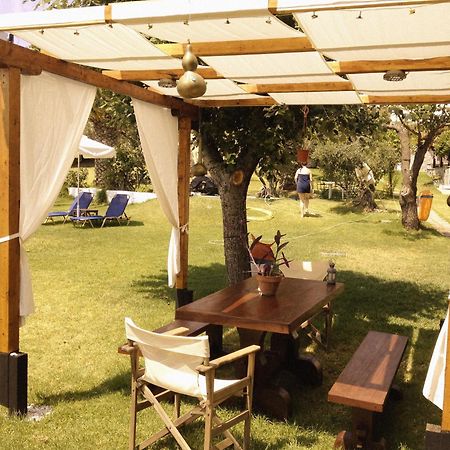 Angeliki Beach Hotel Megáli Ámosz Kültér fotó