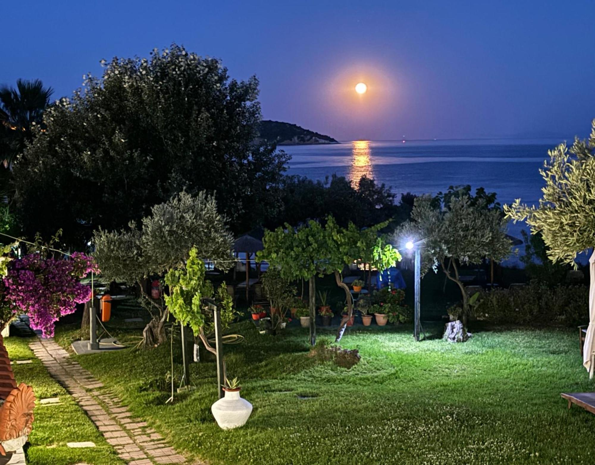 Angeliki Beach Hotel Megáli Ámosz Kültér fotó