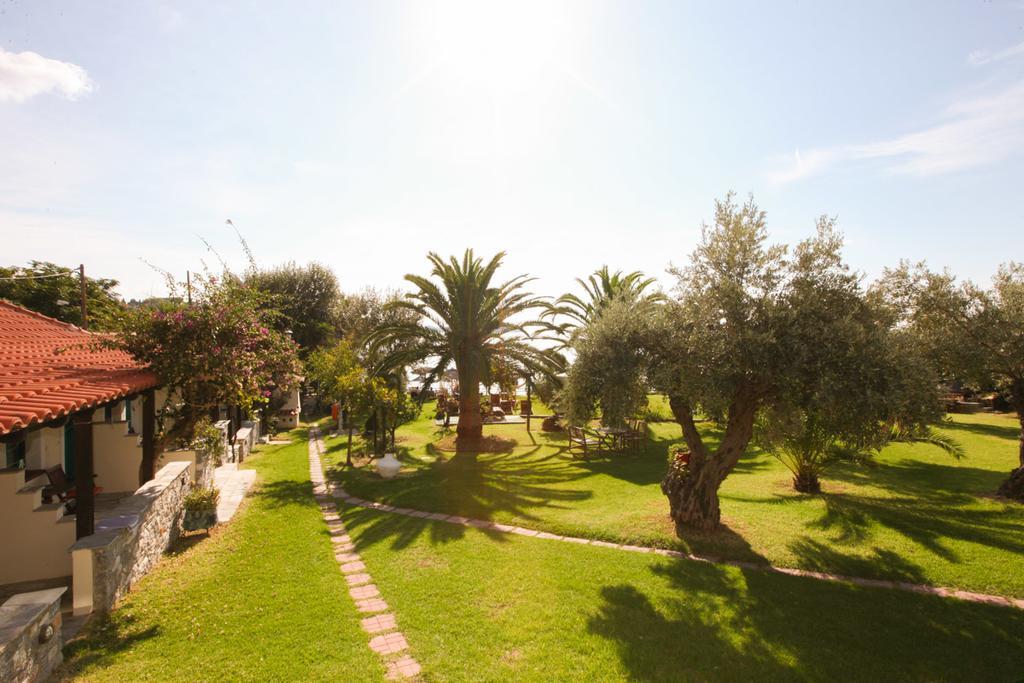 Angeliki Beach Hotel Megáli Ámosz Kültér fotó