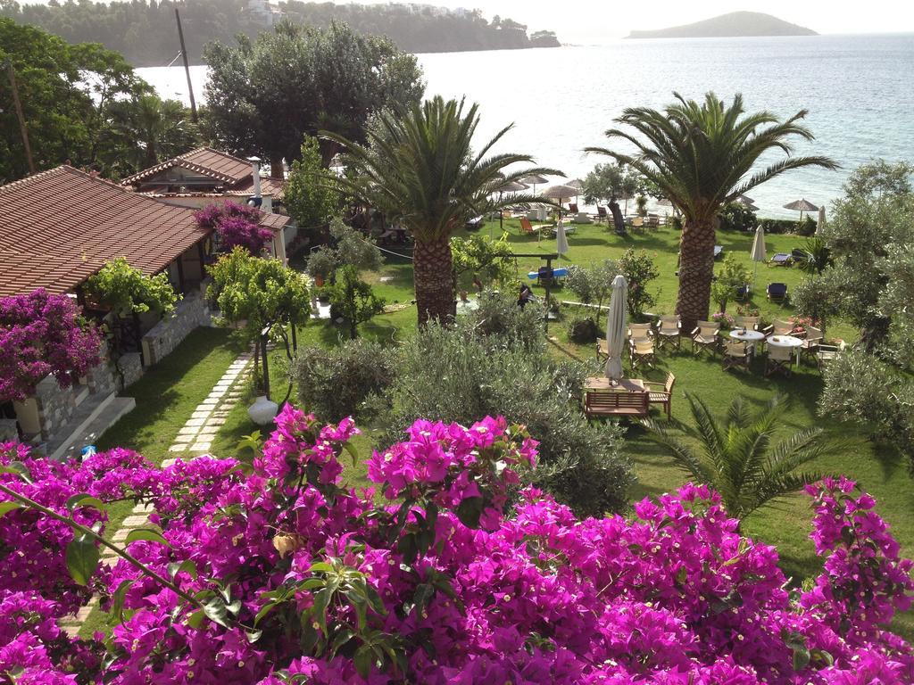 Angeliki Beach Hotel Megáli Ámosz Kültér fotó