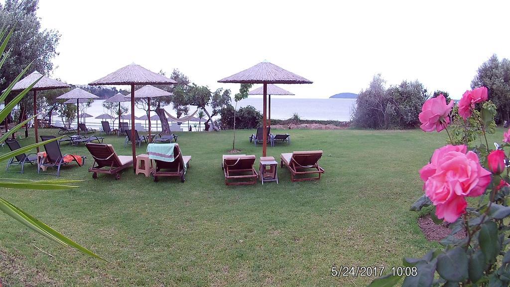 Angeliki Beach Hotel Megáli Ámosz Kültér fotó
