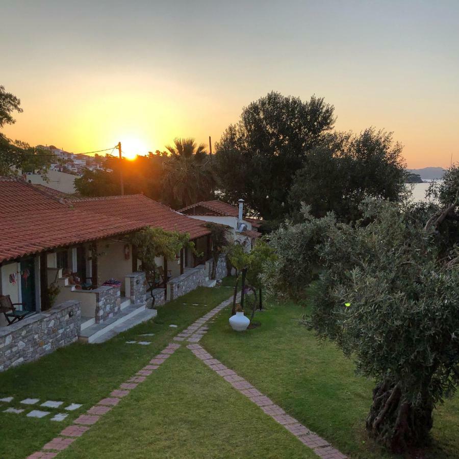 Angeliki Beach Hotel Megáli Ámosz Kültér fotó